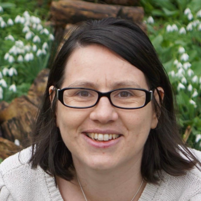 Lisa Filer Snowdrop Counselling Services